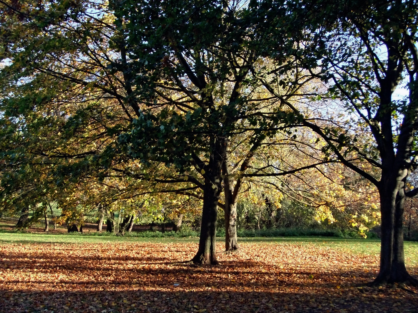 Herbst