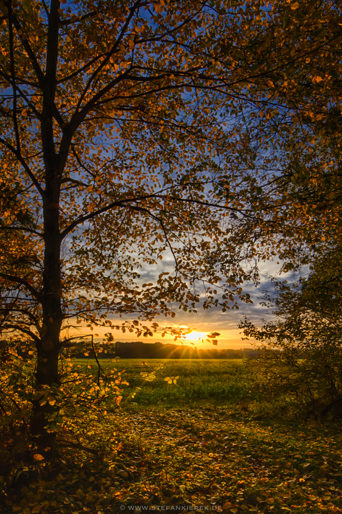 Herbst