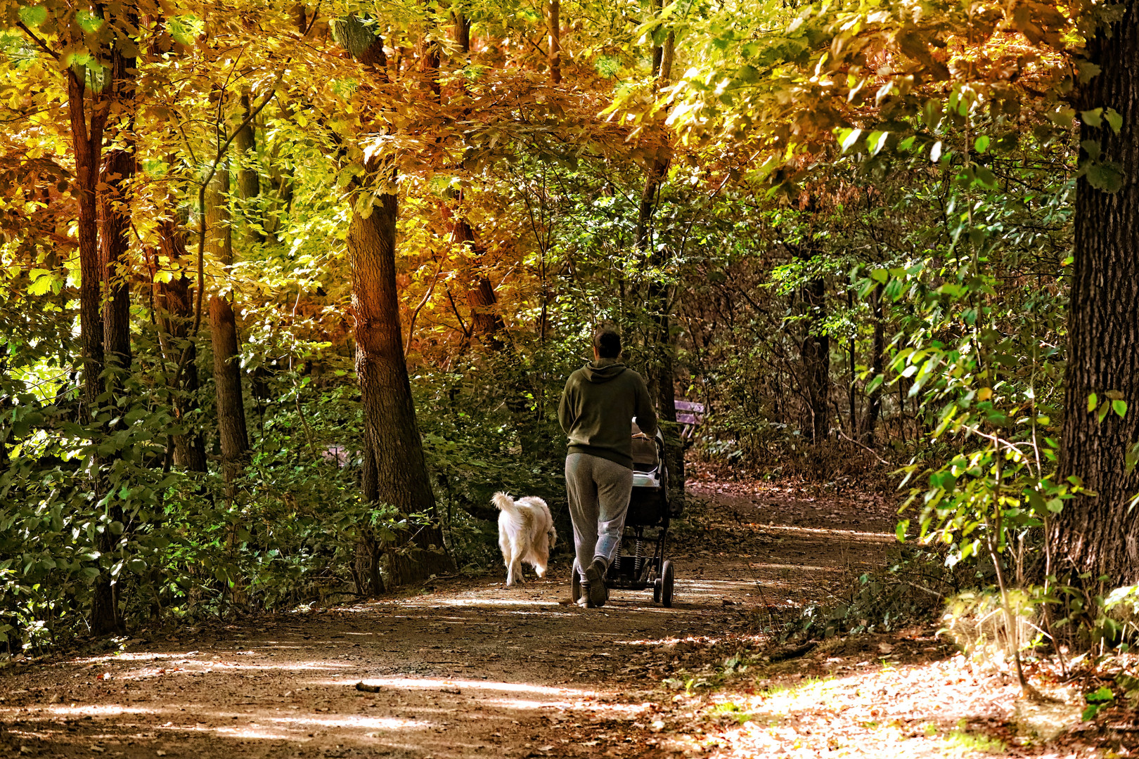 Herbst