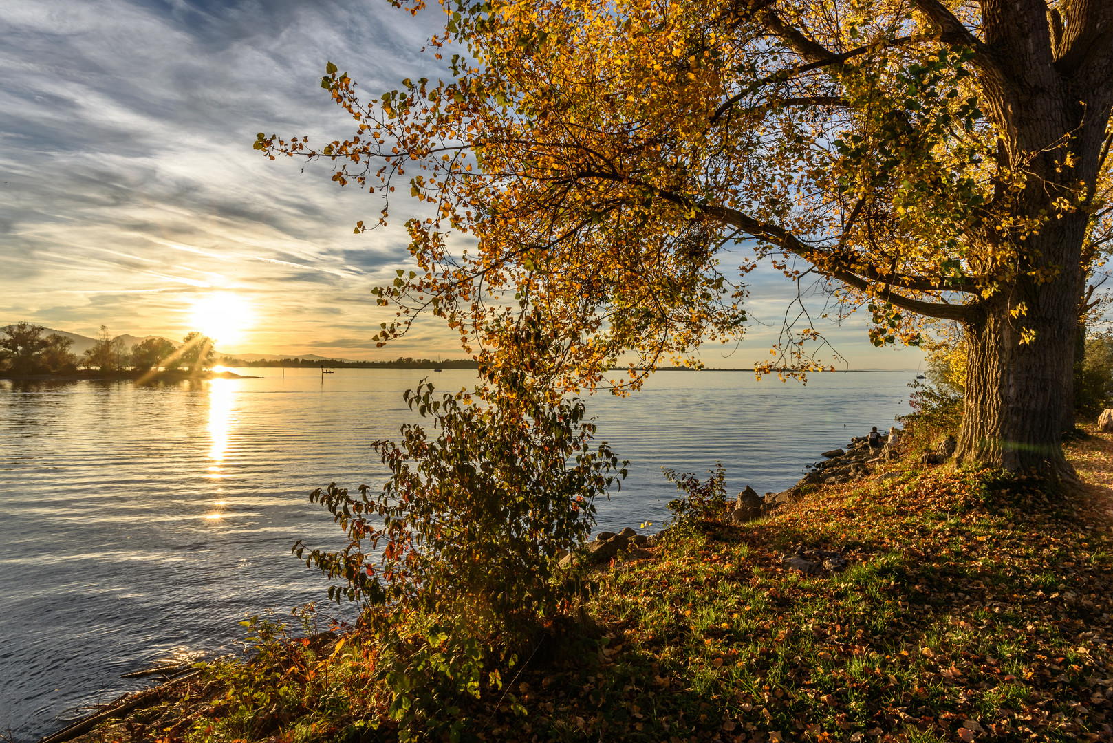 Herbst