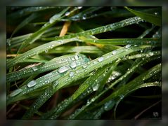 Herbst 07