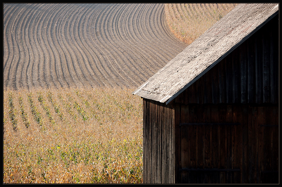 ~ ~ / ~ ~ (Herbst 08)