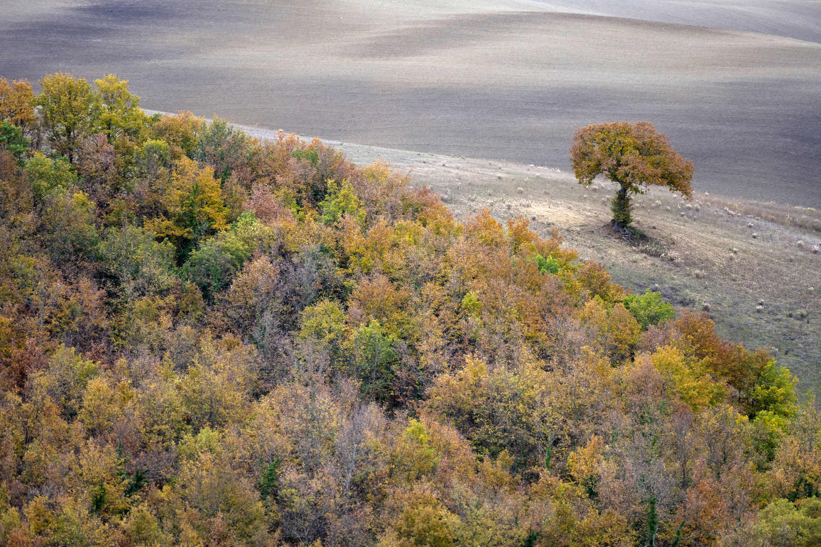 Herbst