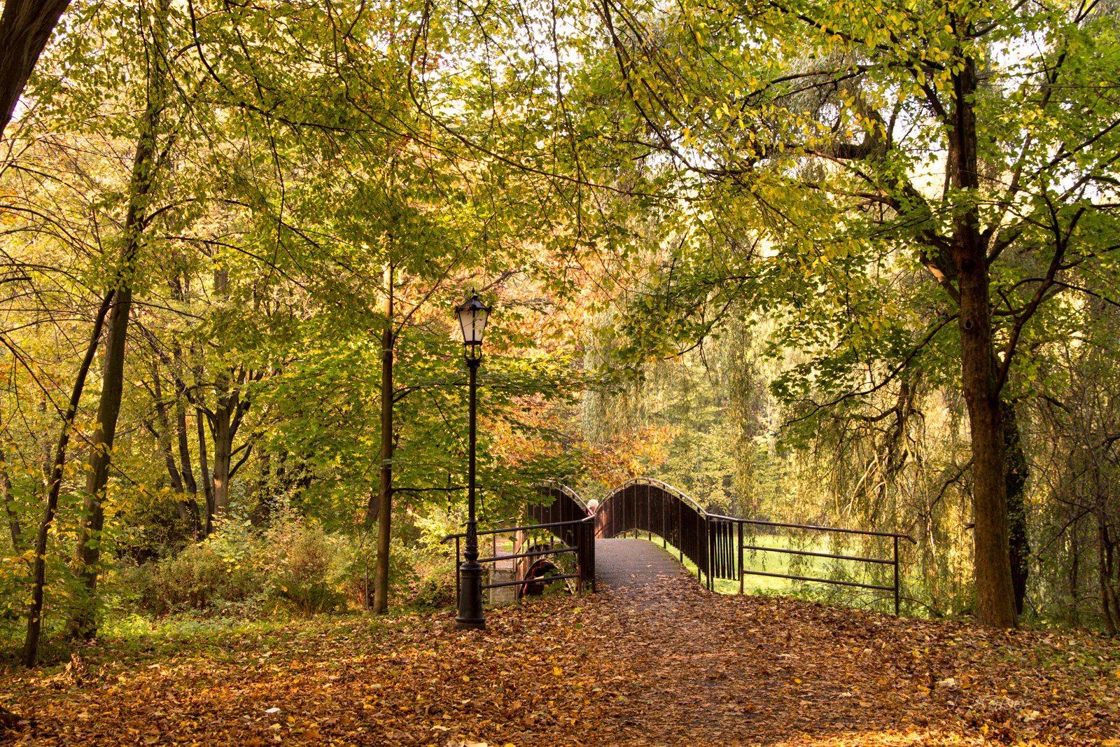 Herbst