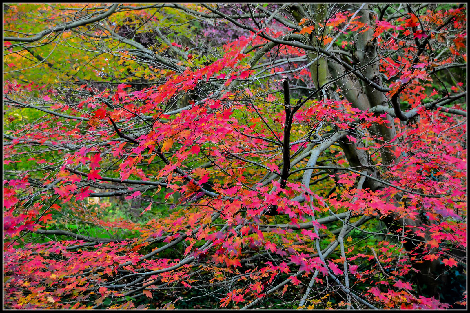 HERBST