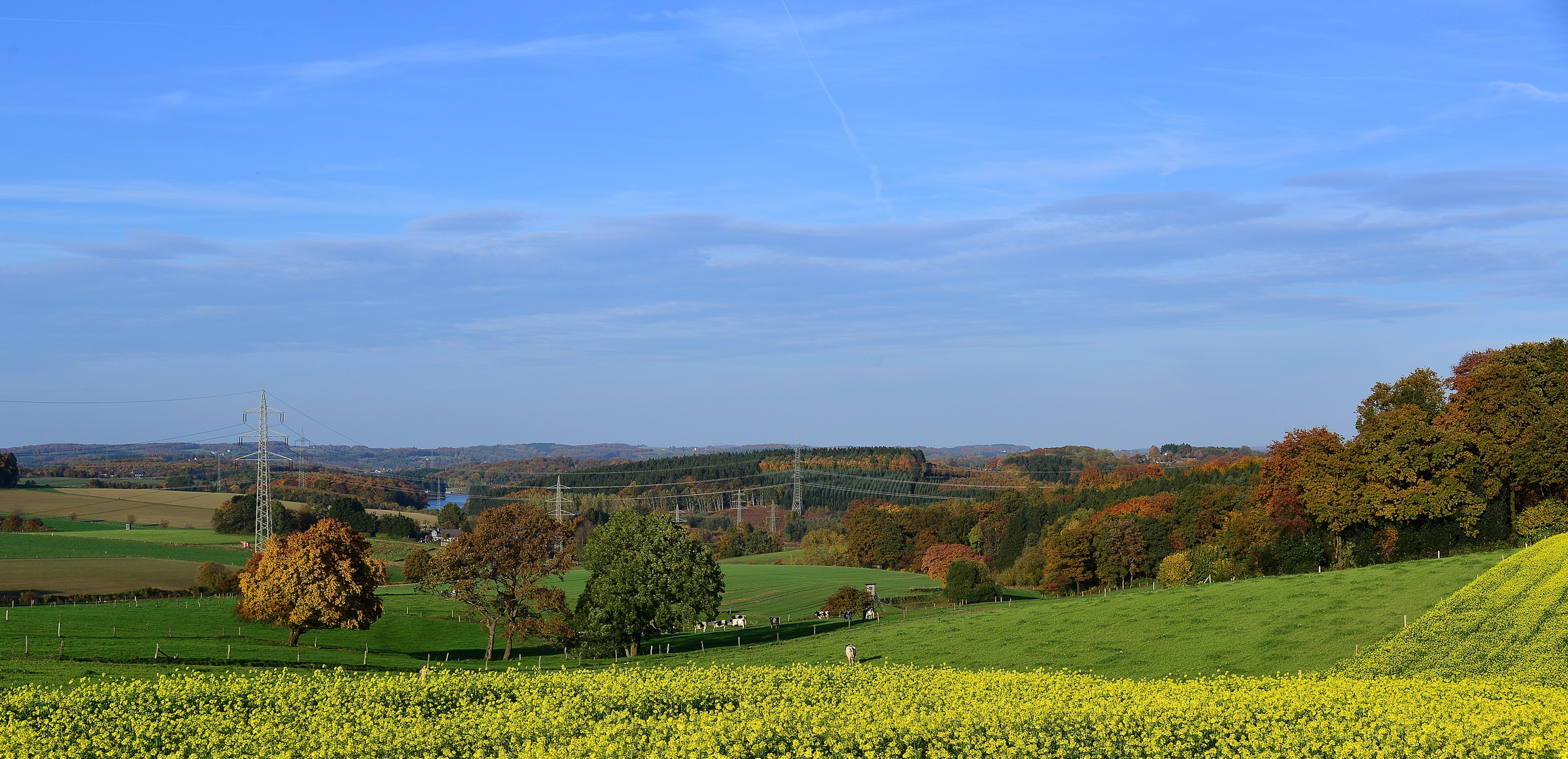 HERBST