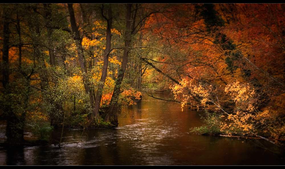 ..Herbst........