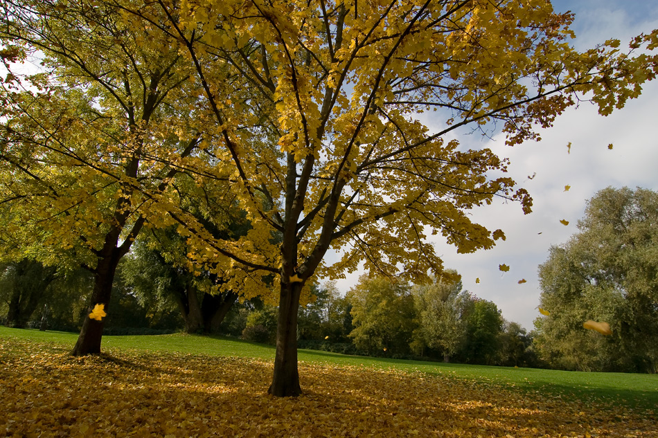 Herbst