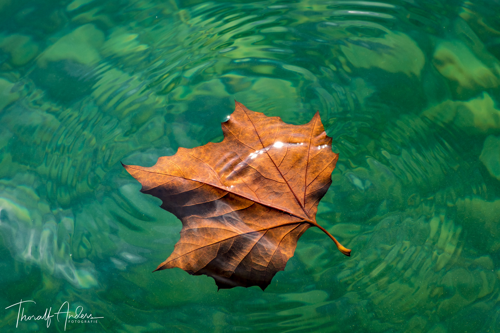 "Herbst"