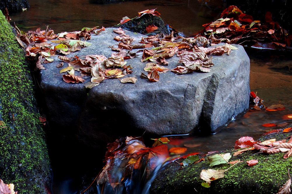 Herbst