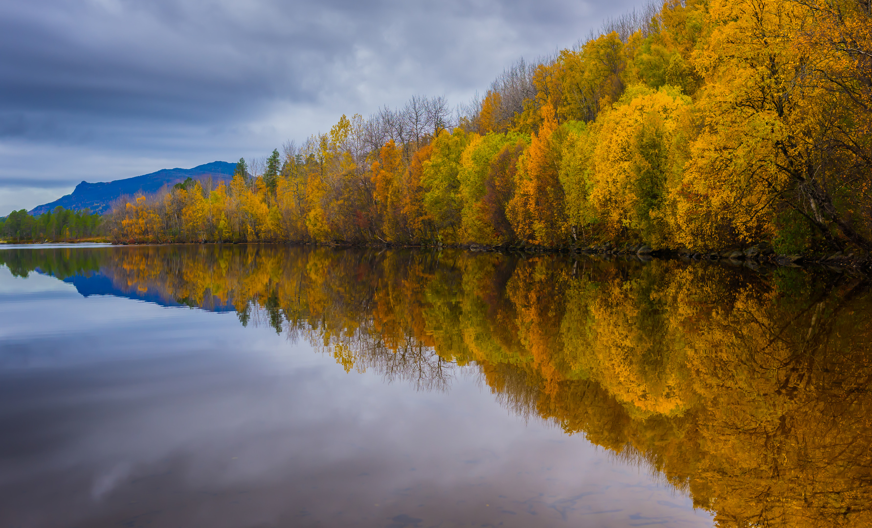 Herbst