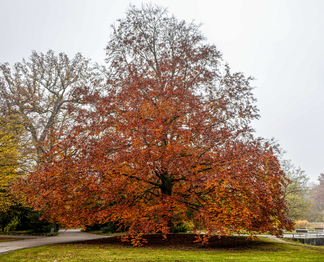 Herbst