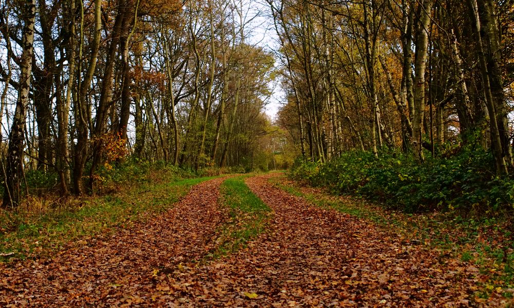 Herbst