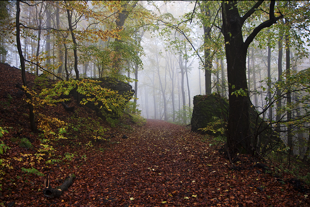 Herbst . . . 