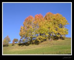 Herbst #1