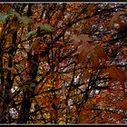 Herbst 1