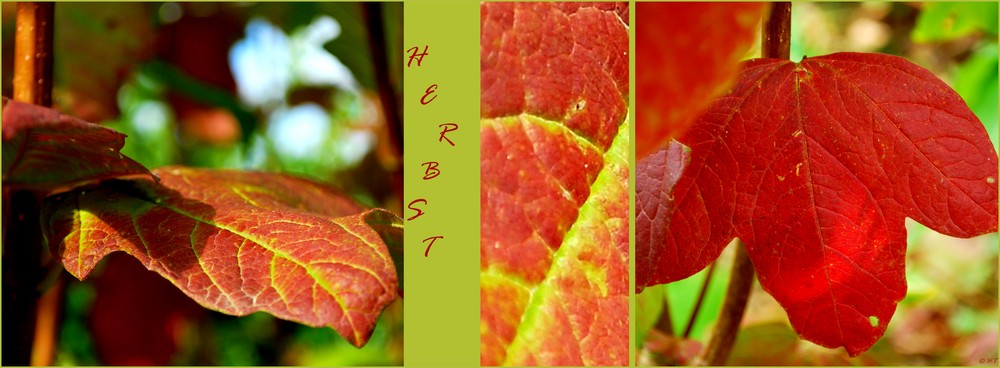 Herbst 1