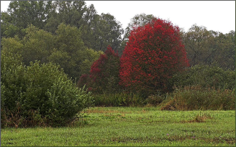 Herbst (1)