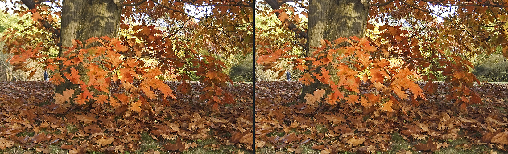 Herbst 1 (3D)