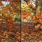 Herbst 1 (3D)