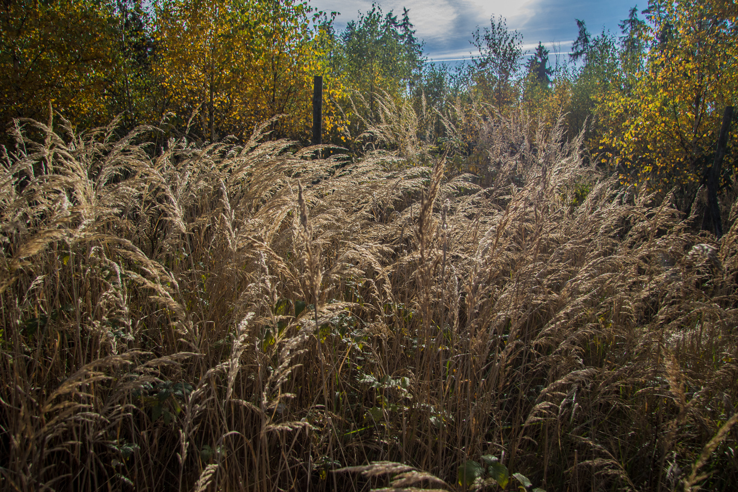 Herbst 1