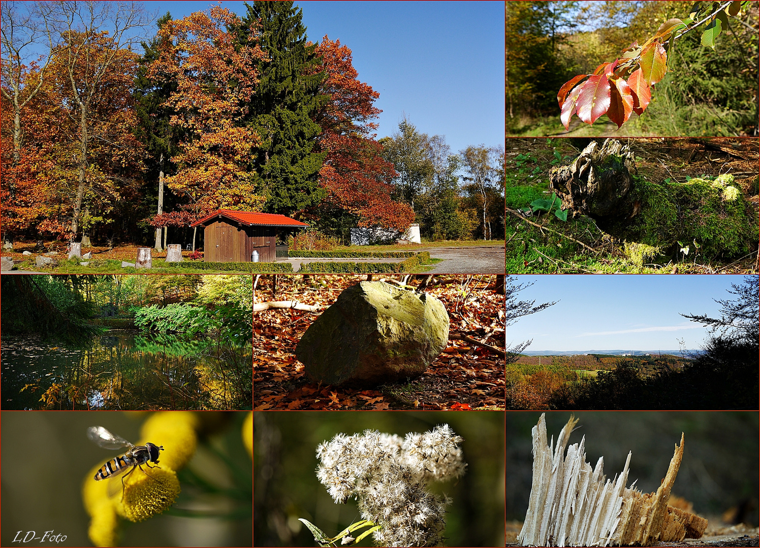 Herbst 1