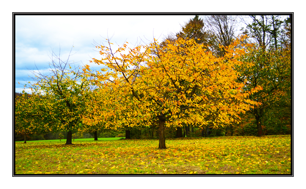 Herbst 1