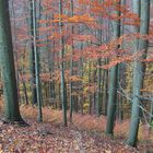 Herbst 1