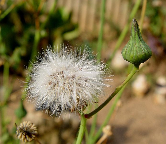 Herbst 1