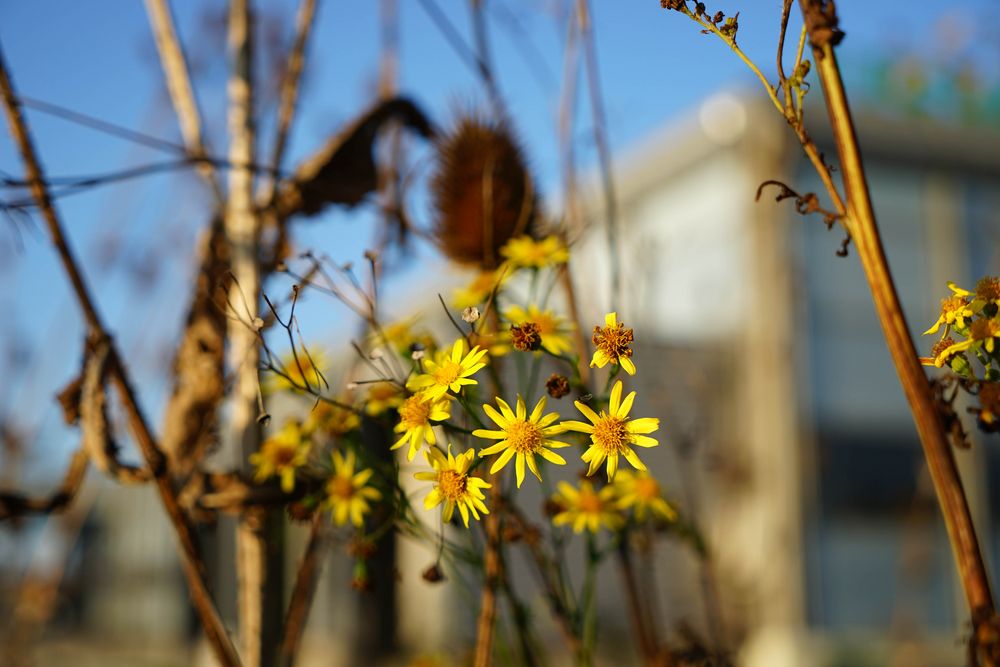 Herbst 1