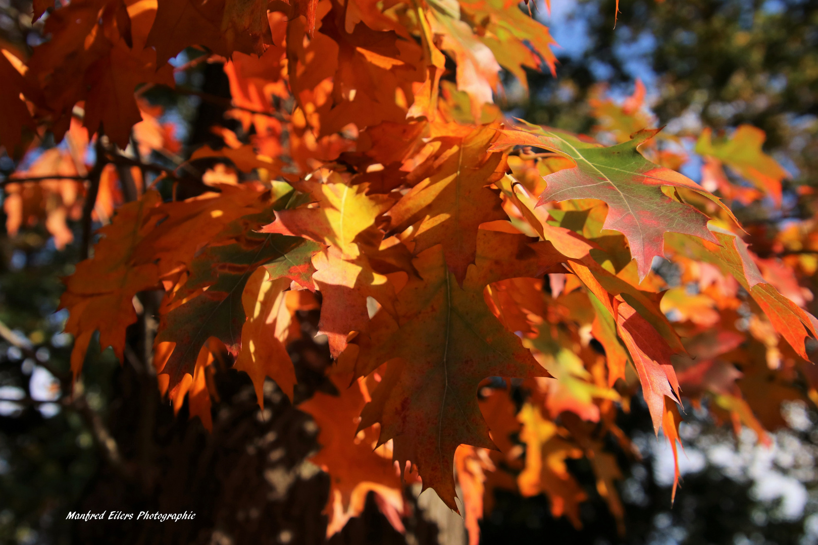 Herbst 1