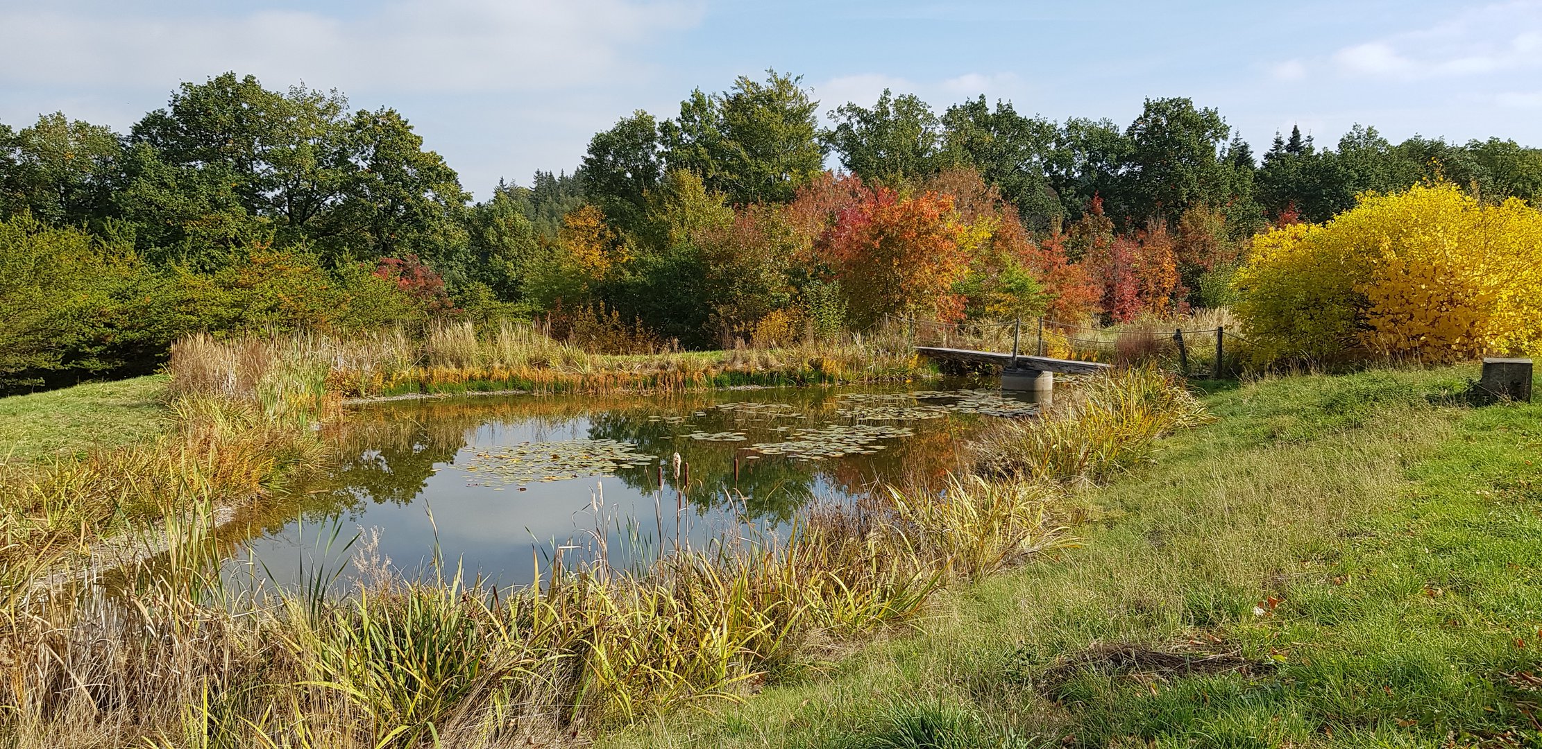 Herbst (1)