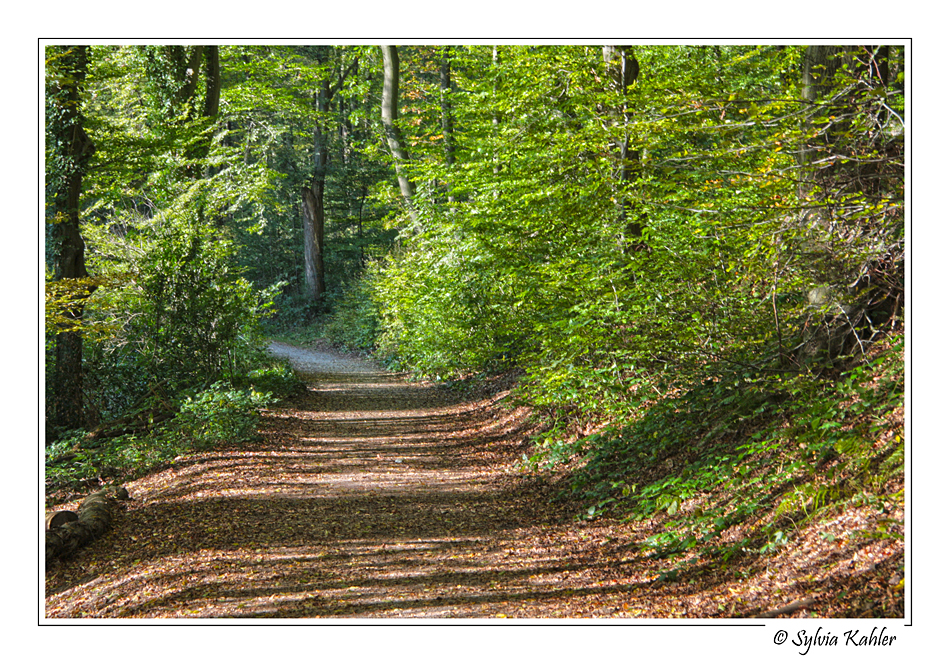 Herbst 1