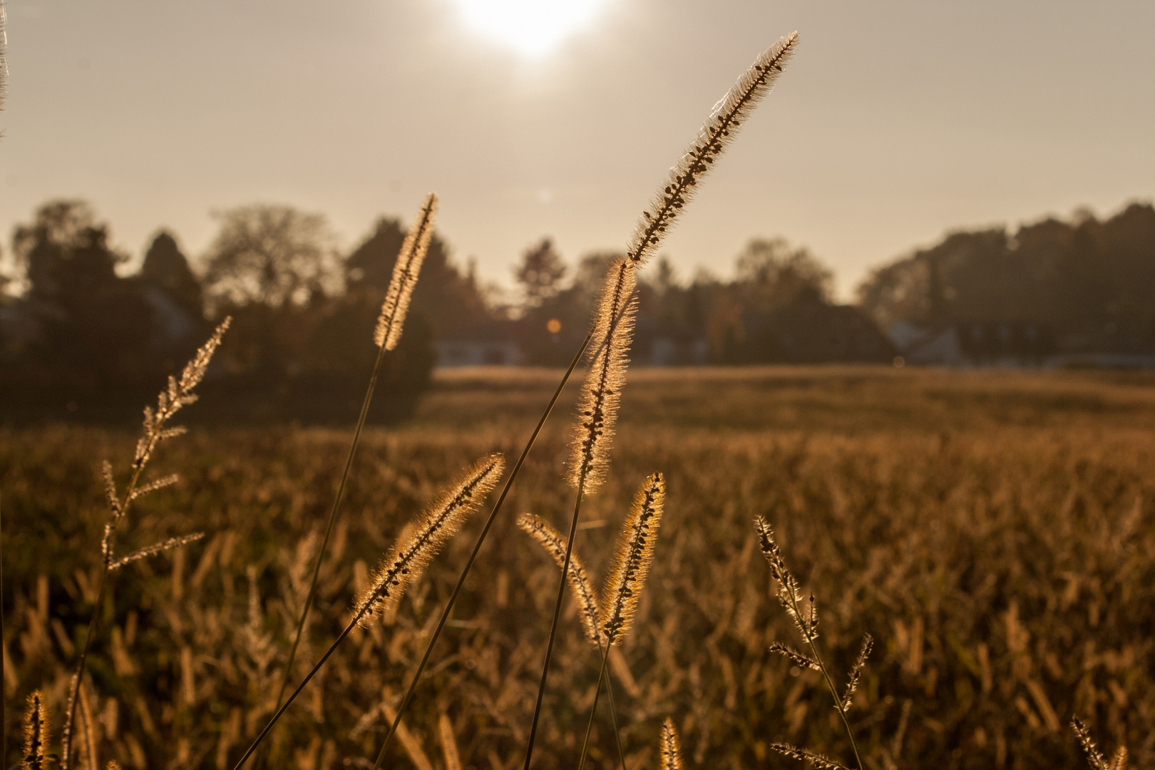 Herbst 1