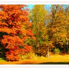 herbst #1