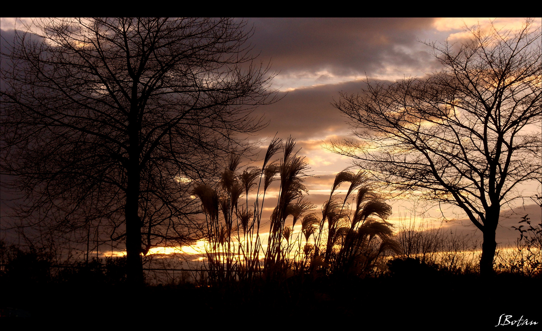 HERBST  1  :)