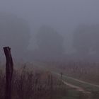 Herbst (1) - Waldweg im Nebel