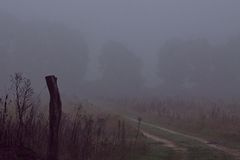 Herbst (1) - Waldweg im Nebel