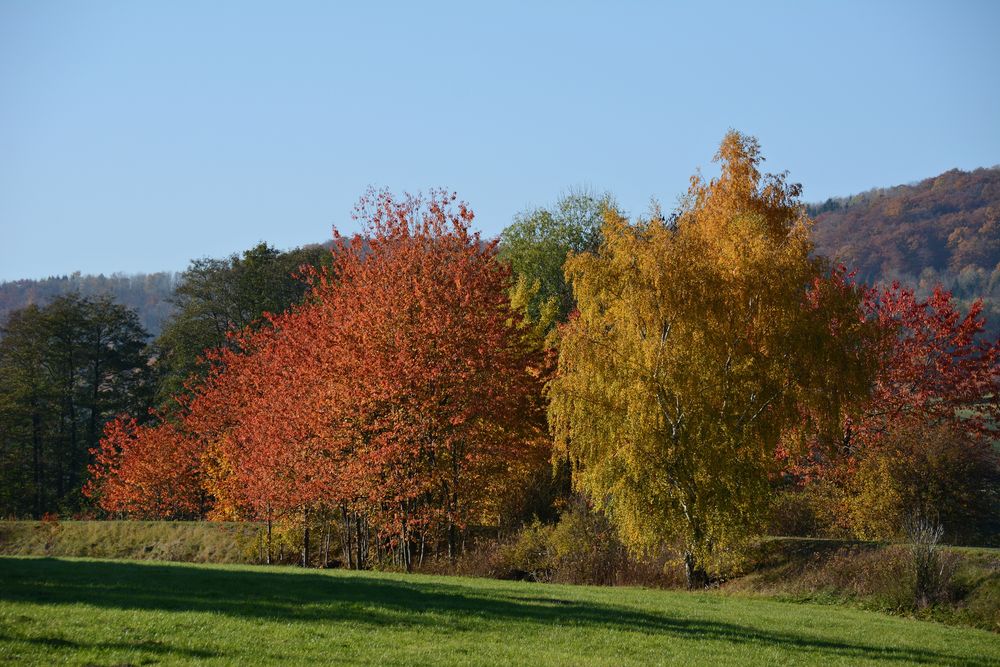 Herbst -10-