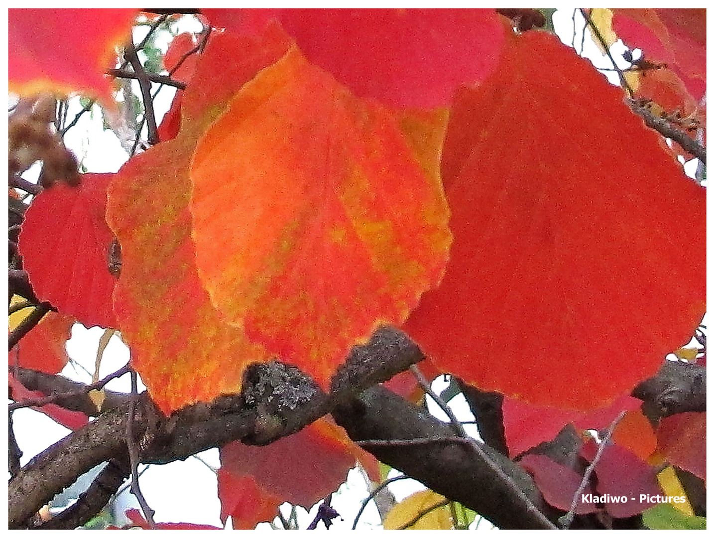 Herbst 10