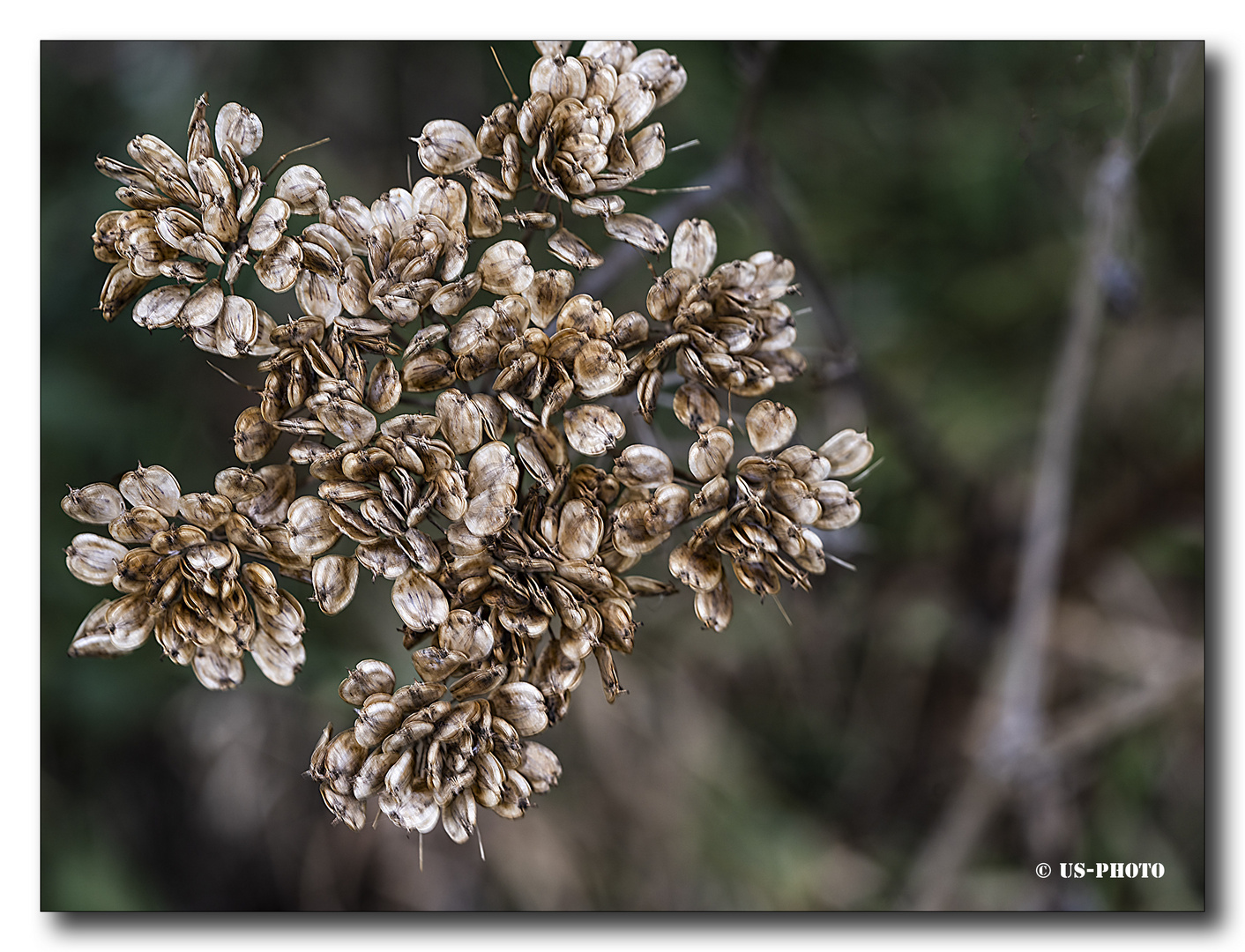 Herbst #10