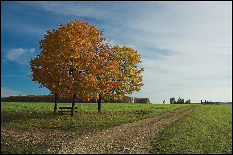 Herbst