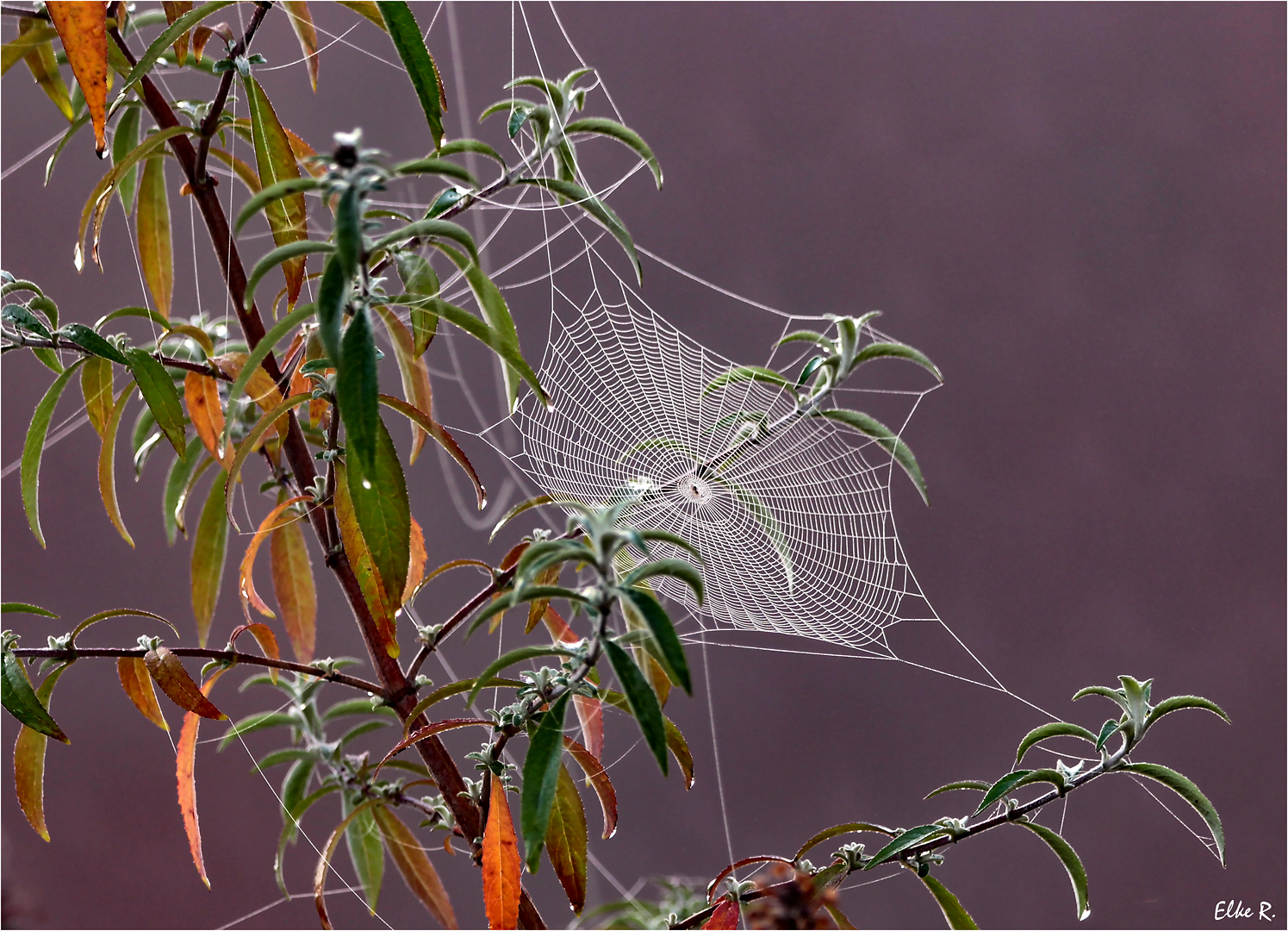 Herbst....