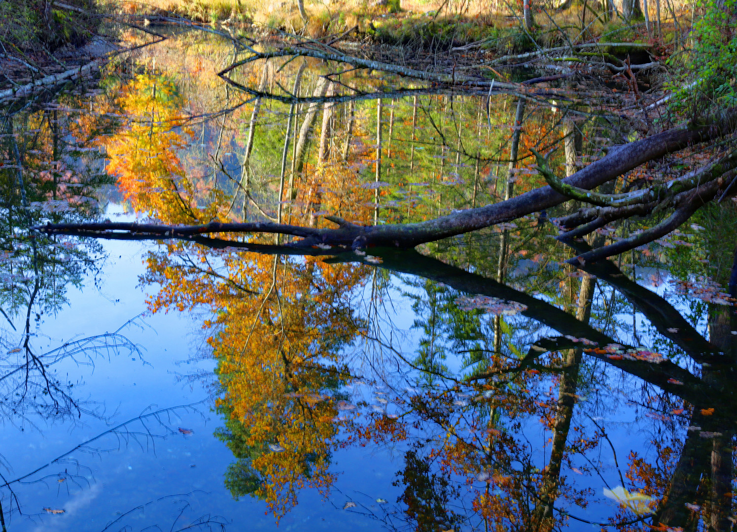 Herbst 1.1