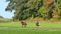 Herbst 11