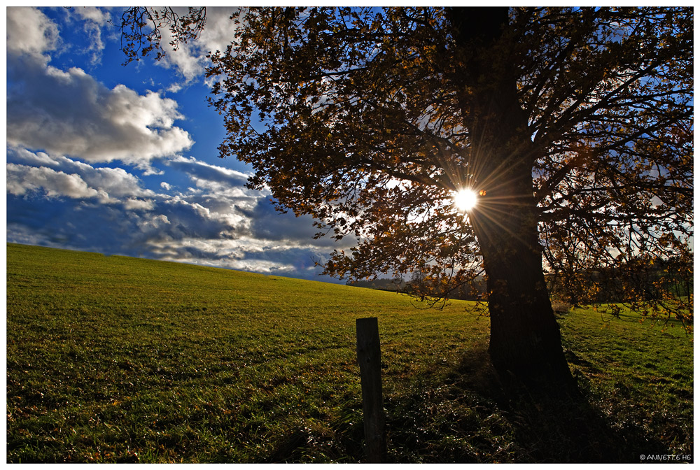 Herbst