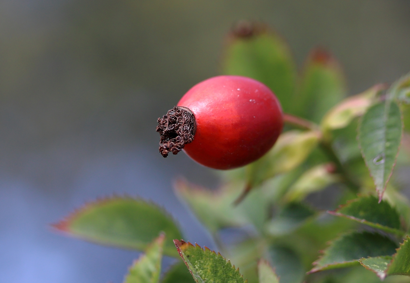 Herbst.....