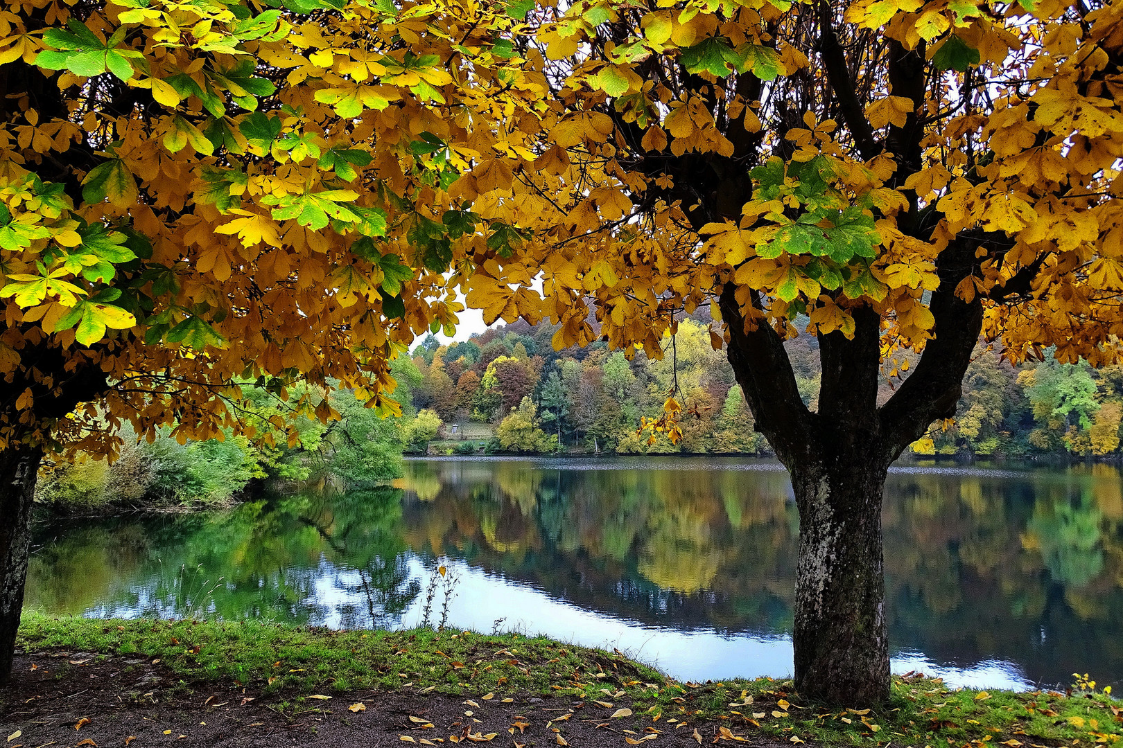 Herbst