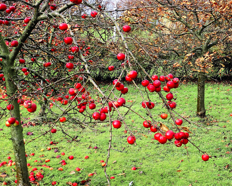 Herbst ...