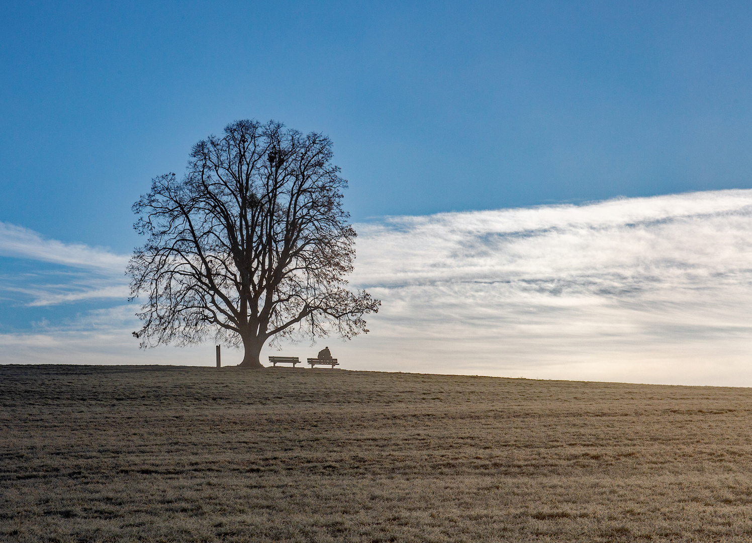 Herbst 12